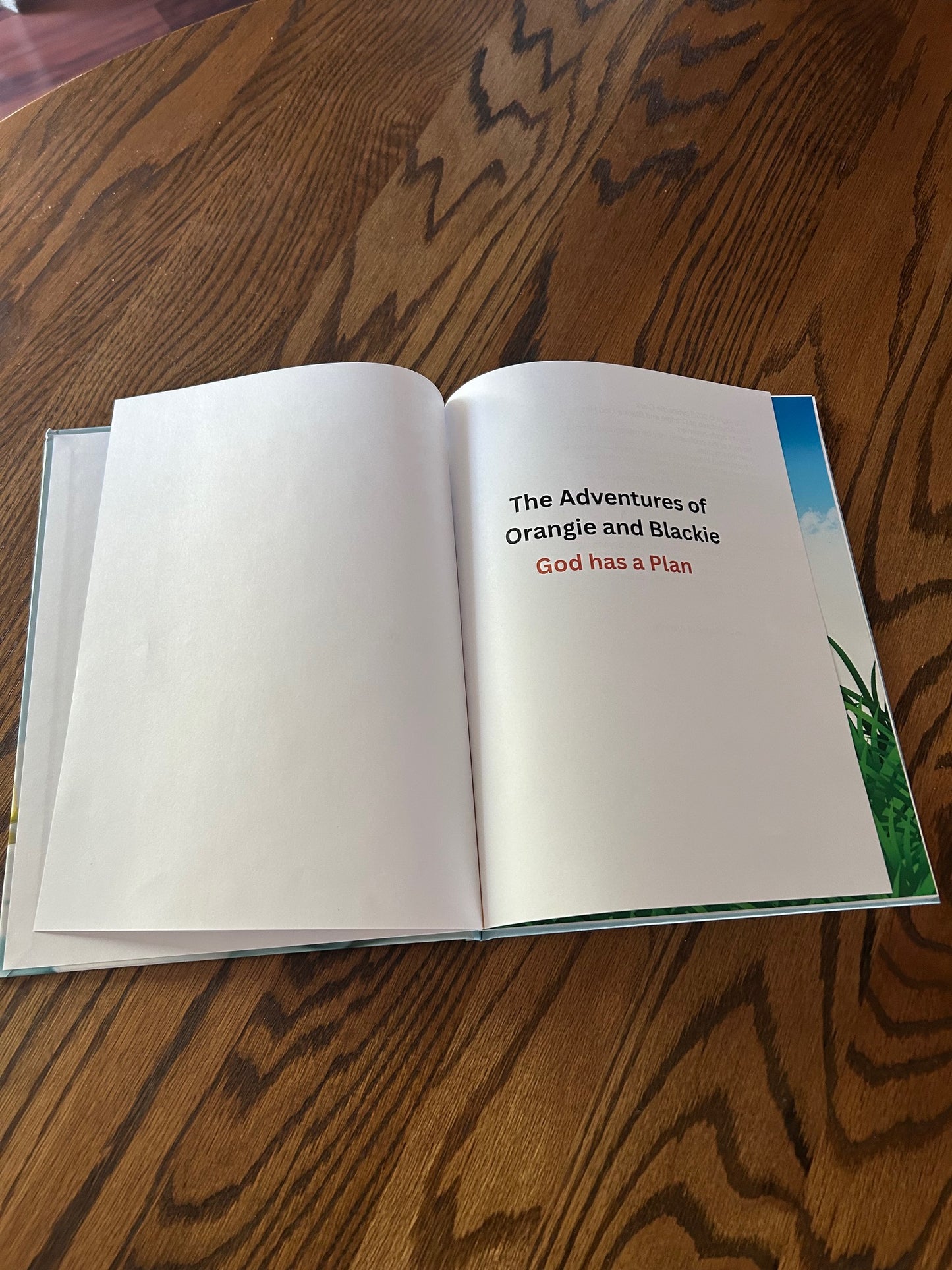 The Adventures of Orangie and Blackie -God has a Plan Hardcover Book