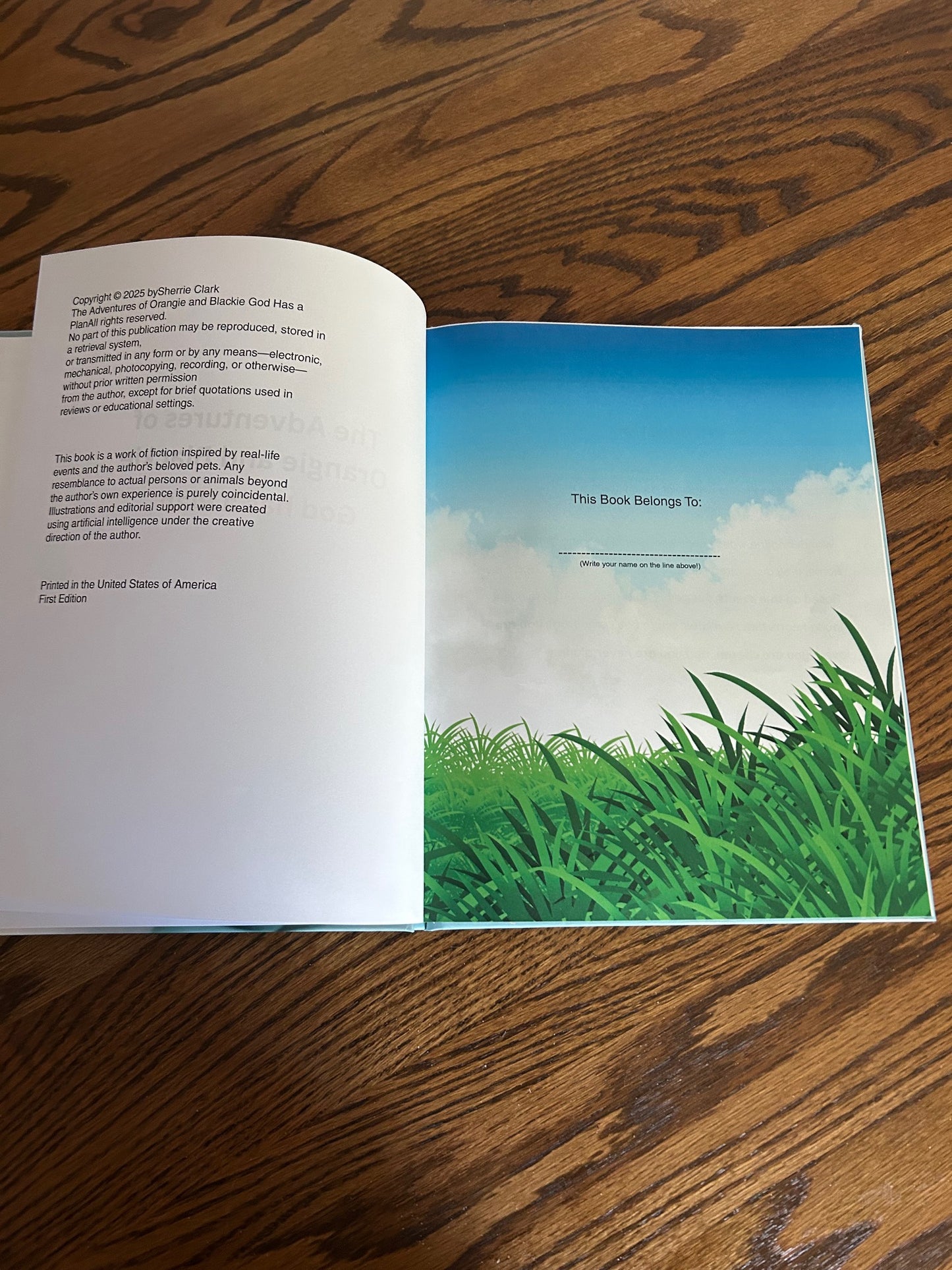 The Adventures of Orangie and Blackie -God has a Plan Hardcover Book