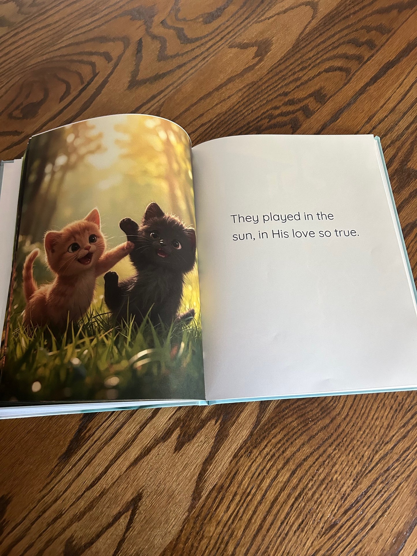 The Adventures of Orangie and Blackie -God has a Plan Hardcover Book