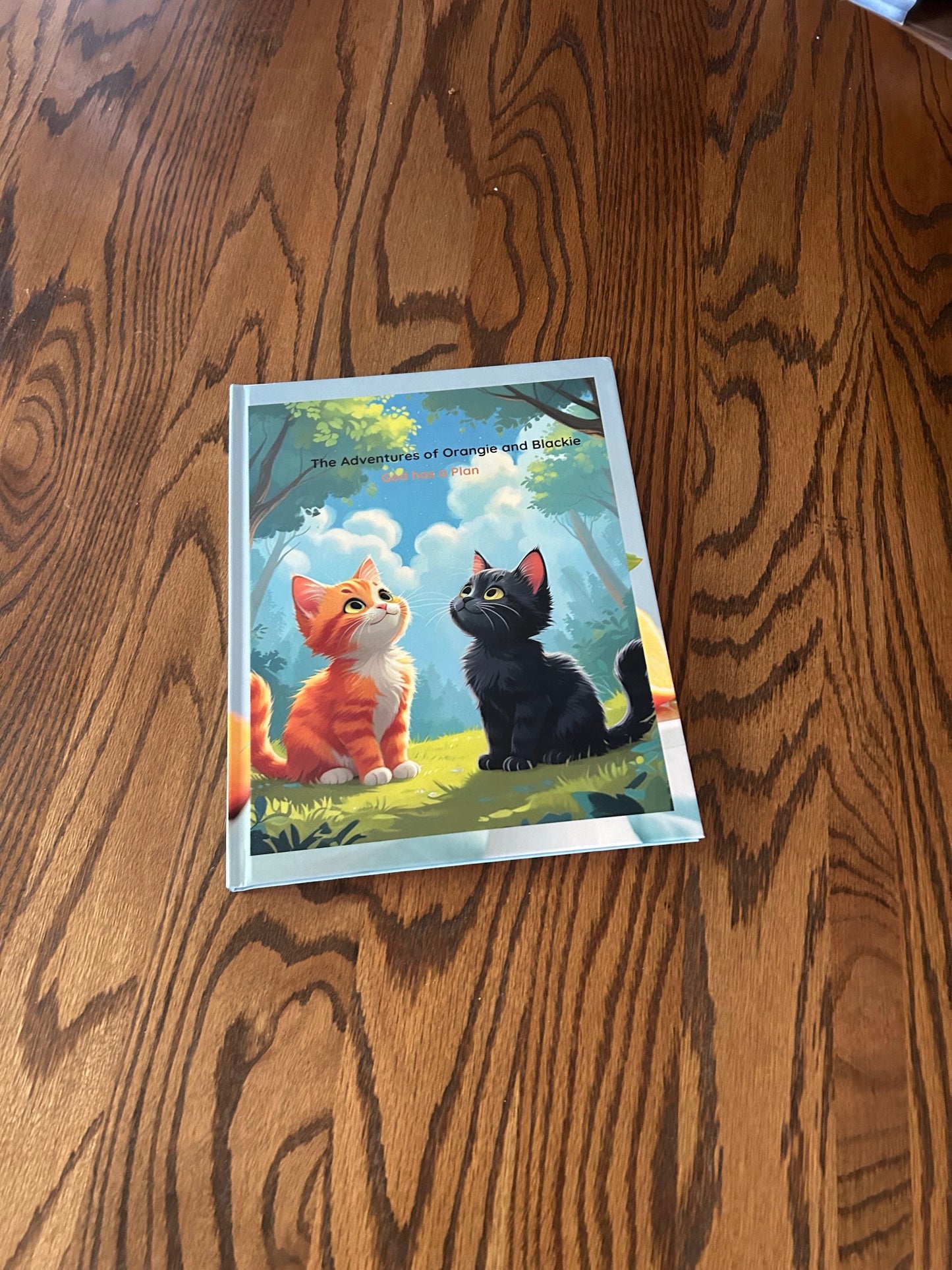 The Adventures of Orangie and Blackie -God has a Plan Hardcover Book